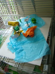 601444_3877767618947_452711788_n